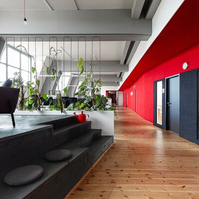 hölzerner Boden, mit rotem und grauem Teppich verkleidete Wand, Pflanzen, erhöhte Sitzecke